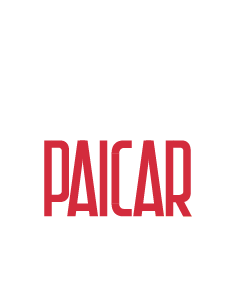 paicar-01-polishing-master