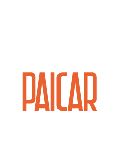 paicar-02-master-in-polishing-jav