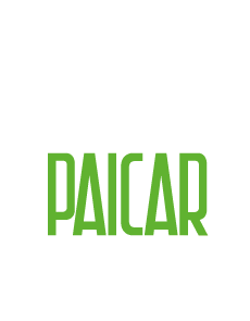 paicar-04-maestro-lucidatura